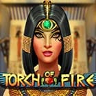 #Torch Of Fire screenshot